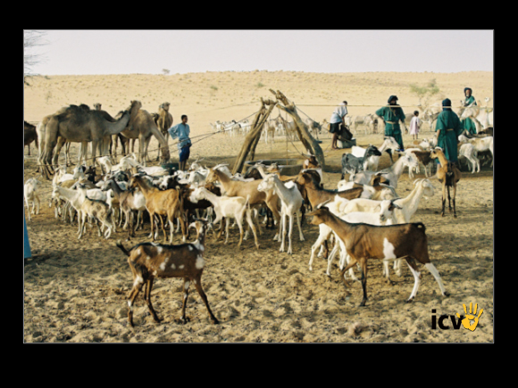 ./agriguide/gallery/E-TIC/Mali/2-017.jpg