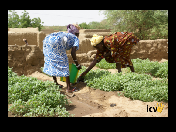 ./agriguide/gallery/E-TIC/Mali/2-043.jpg