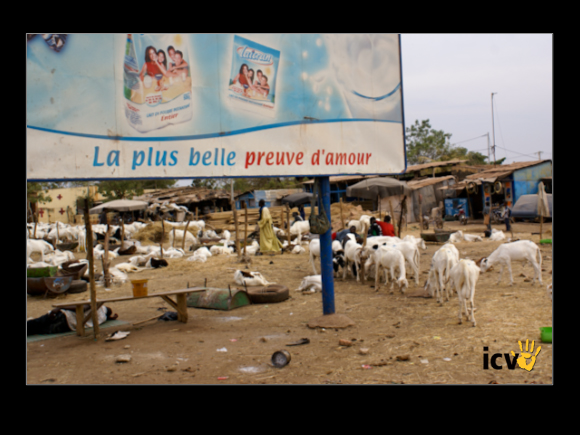 ./agriguide/gallery/E-TIC/Mali/2-057.jpg