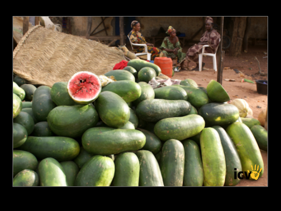 ./agriguide/gallery/E-TIC/Mali/2-064.jpg