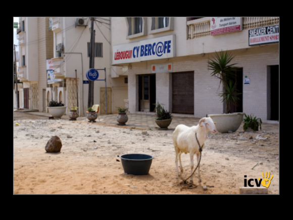 ./agriguide/gallery/E-TIC/Senegal/2-071.jpg