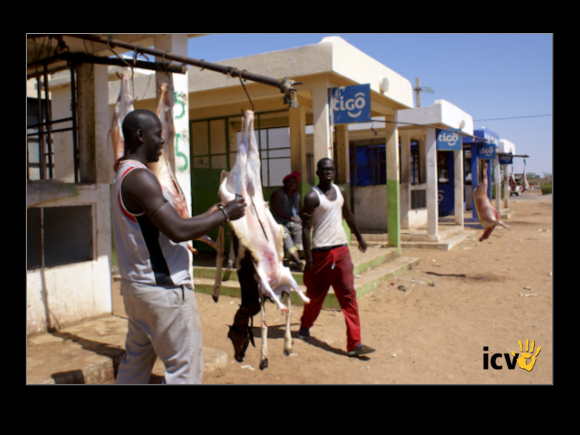 ./agriguide/gallery/E-TIC/Senegal/2-077.jpg