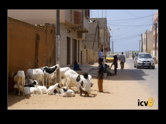 ./agriguide/gallery/E-TIC/Senegal/2-162.jpg