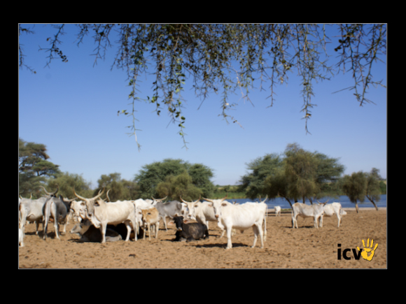 ./agriguide/gallery/E-TIC/Senegal/2-189.jpg