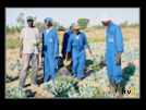 ./agriguide/gallery/E-TIC/Senegal/_thb_2-026.jpg