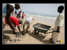 ./agriguide/gallery/E-TIC/Senegal/_thb_2-033.jpg