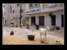 ./agriguide/gallery/E-TIC/Senegal/_thb_2-071.jpg