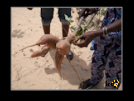 ./agriguide/gallery/E-TIC/Senegal/_thb_2-147.jpg